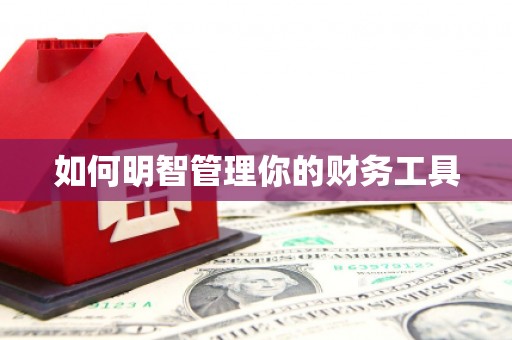 红古如何明智管理你的财务工具