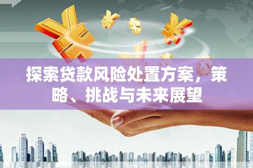 红古探索贷款风险处置方案，策略、挑战与未来展望