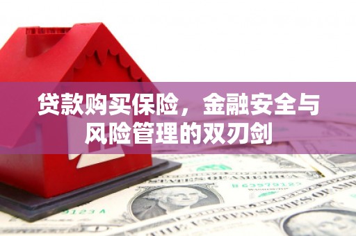红古贷款购买保险，金融安全与风险管理的双刃剑