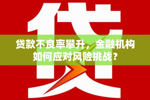 红古贷款不良率攀升，金融机构如何应对风险挑战？