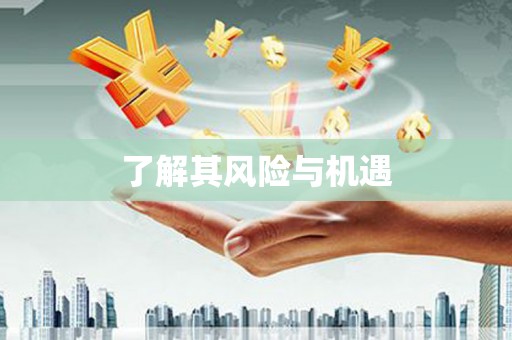 红古了解其风险与机遇