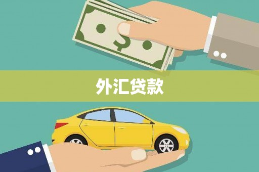 红古外汇贷款