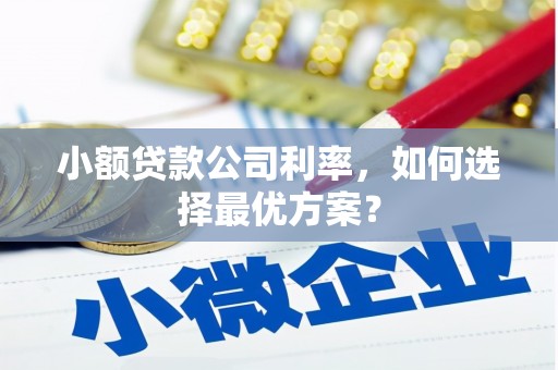 红古小额贷款公司利率，如何选择最优方案？
