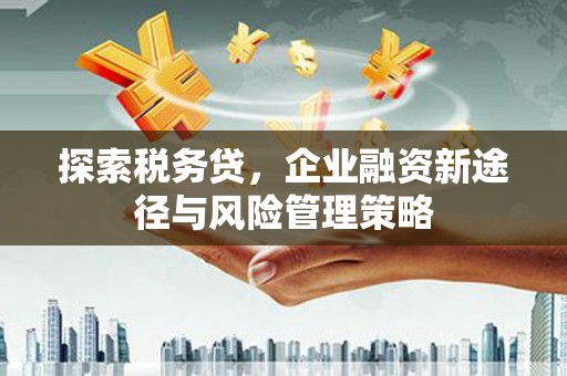 红古探索税务贷，企业融资新途径与风险管理策略