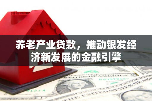 红古养老产业贷款，推动银发经济新发展的金融引擎