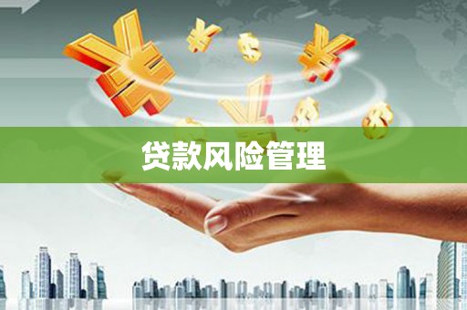 红古贷款风险管理