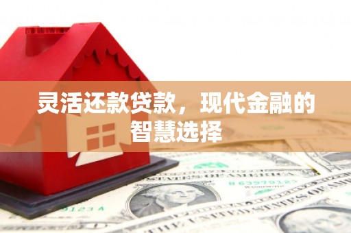 红古灵活还款贷款，现代金融的智慧选择
