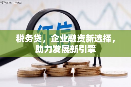 红古税务贷，企业融资新选择，助力发展新引擎