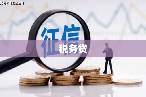 红古税务贷