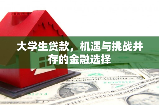 红古大学生贷款，机遇与挑战并存的金融选择
