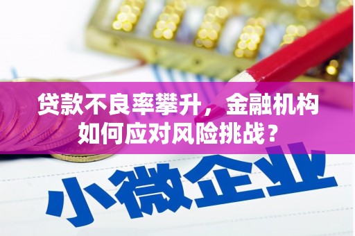 红古贷款不良率攀升，金融机构如何应对风险挑战？