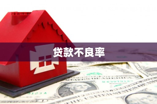 红古贷款不良率