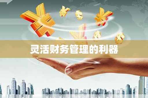 红古灵活财务管理的利器