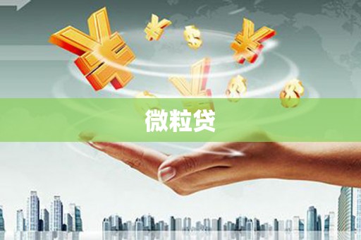红古微粒贷