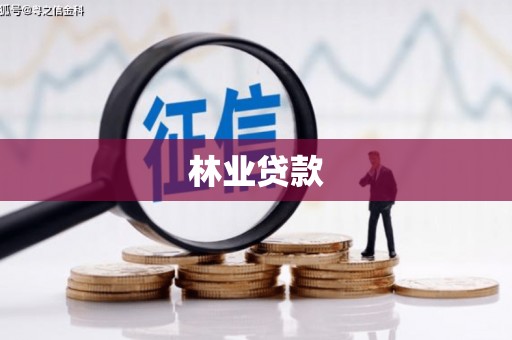 红古林业贷款