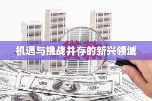 红古机遇与挑战并存的新兴领域