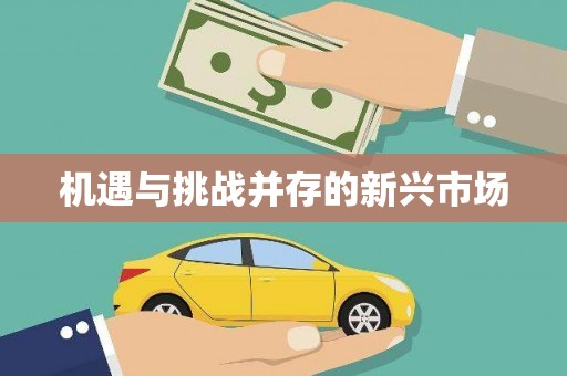 红古机遇与挑战并存的新兴市场