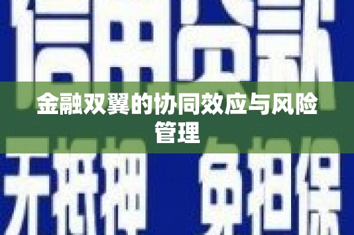 红古金融双翼的协同效应与风险管理